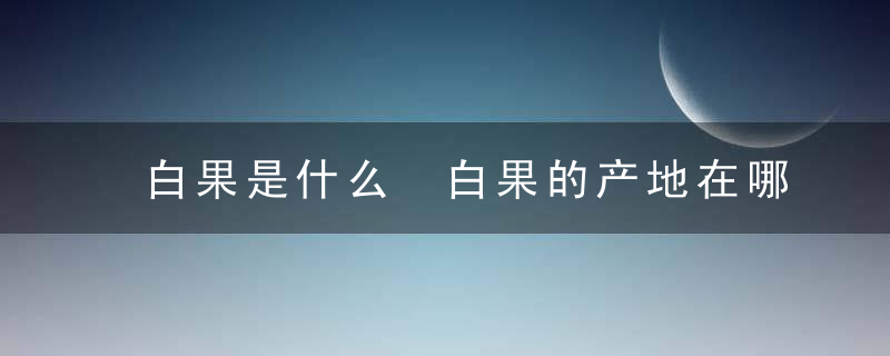 白果是什么 白果的产地在哪里